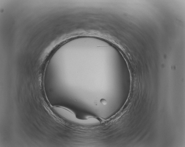 X0000081421503200702021614