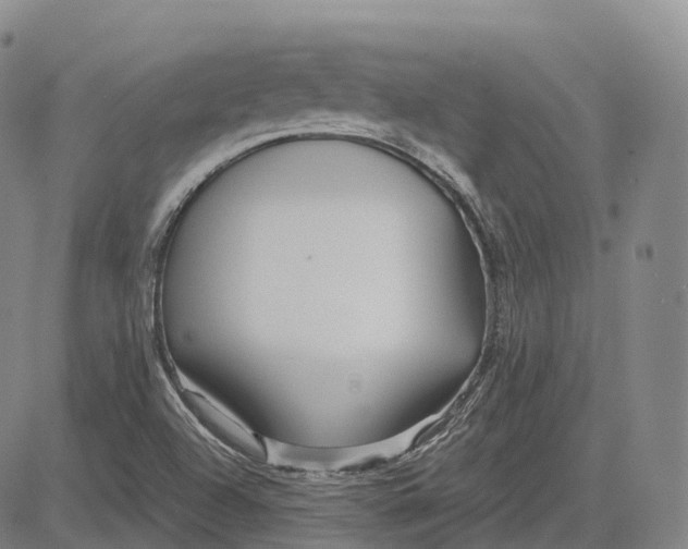 X0000081421504200702021614