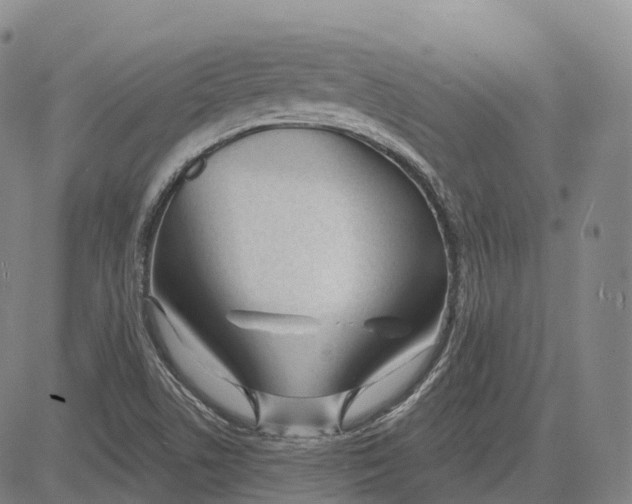 X0000081421506200702021614