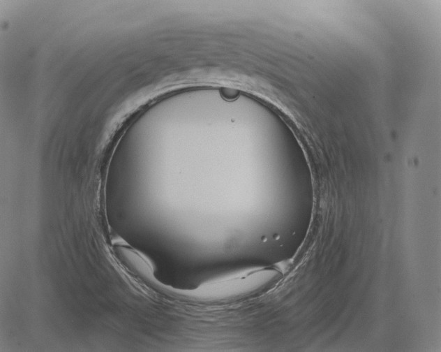 X0000081421507200702021614