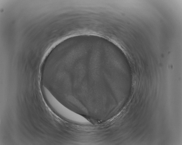 X0000081421508200702021614