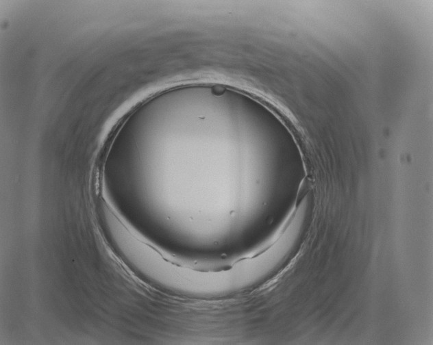 X0000081421510200702021614