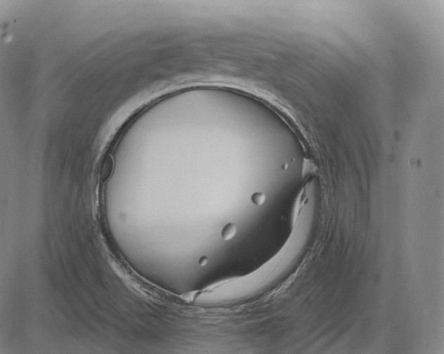 X0000081421511200702021614