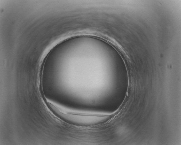 X0000081421512200702021614