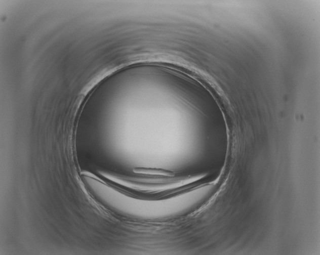 X0000081421513200702021614