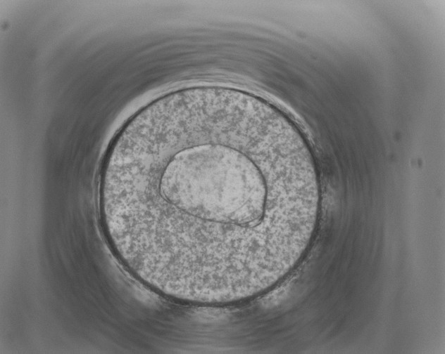 X0000081421514200702021614