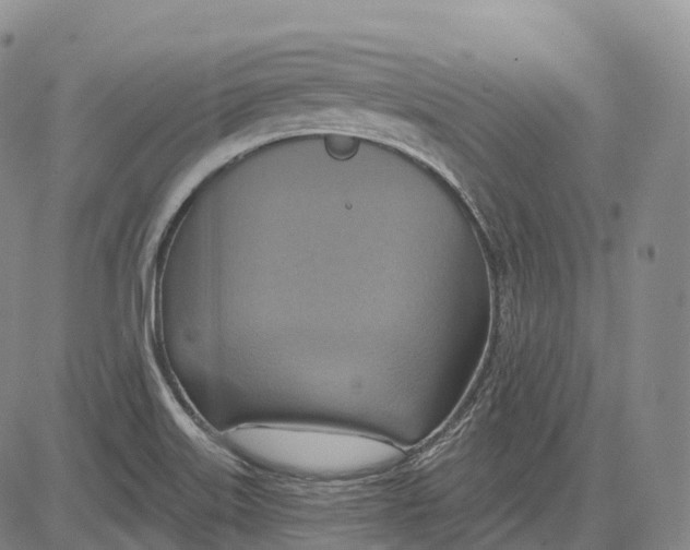 X0000081421515200702021614