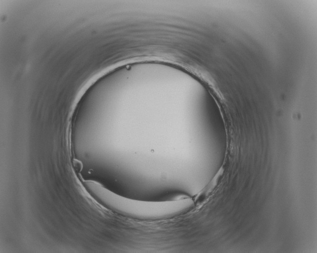 X0000081421516200702021614