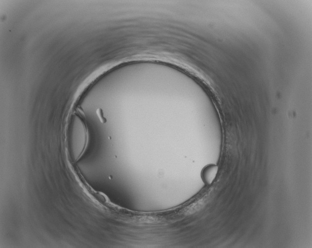 X0000081421517200702021614