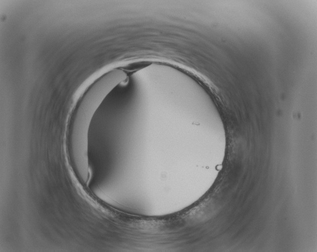 X0000081421518200702021614