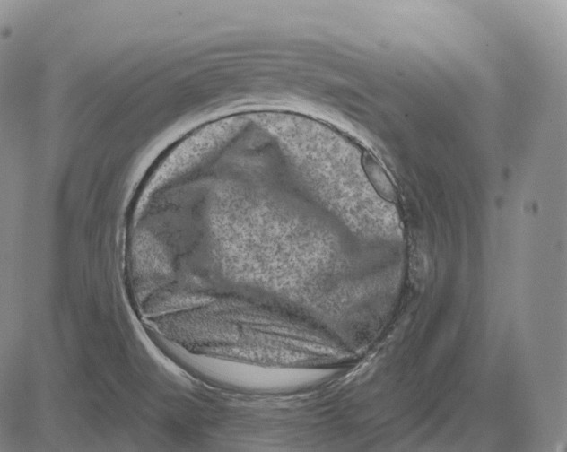 X0000081421519200702021614