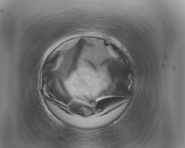 X0000081421520200702021614