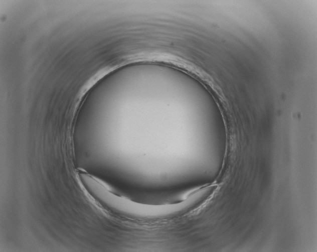 X0000081421521200702021614