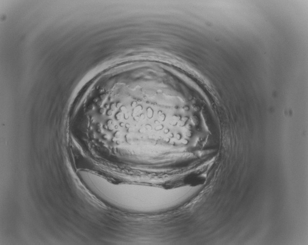 X0000081421522200702021614