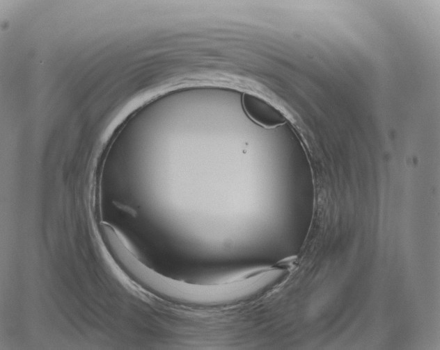 X0000081421523200702021614