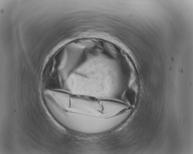 X0000081421525200702021615