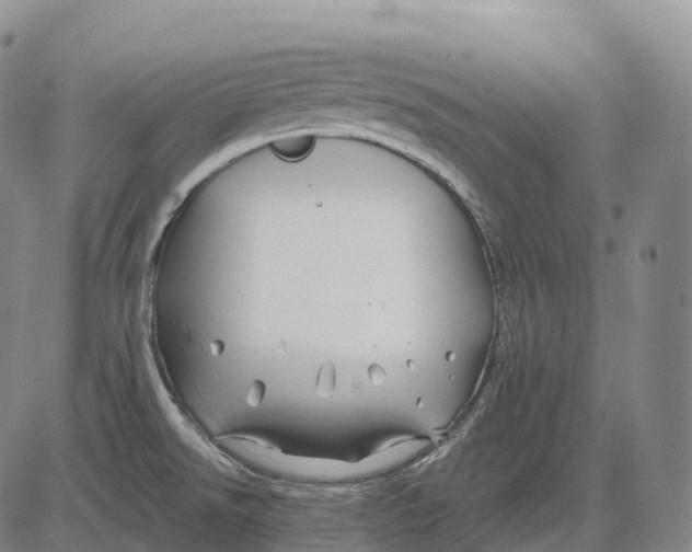 X0000081421526200702021615