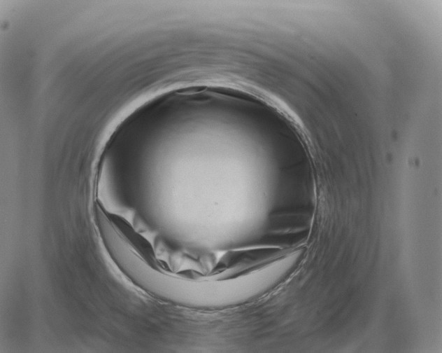 X0000081421528200702021615