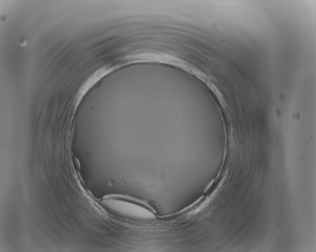 X0000081421529200702021615