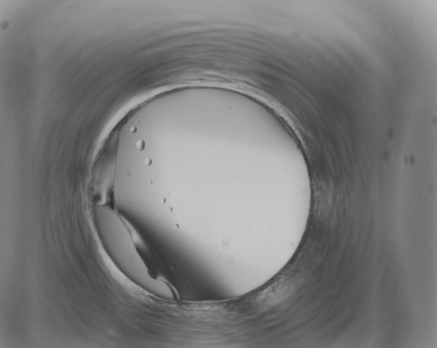 X0000081421531200702021615