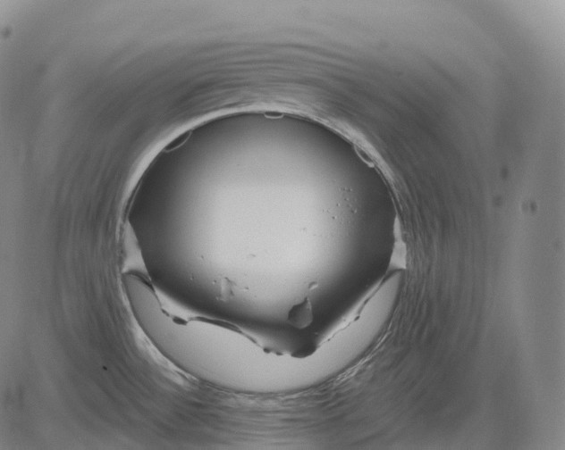 X0000081421532200702021615