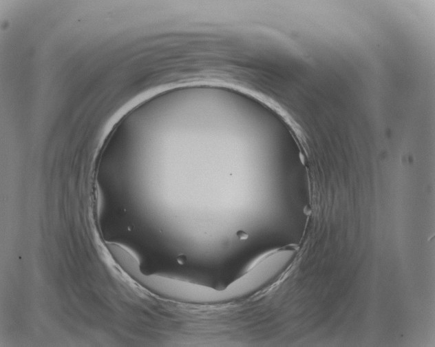 X0000081421534200702021615