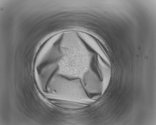 X0000081421535200702021615