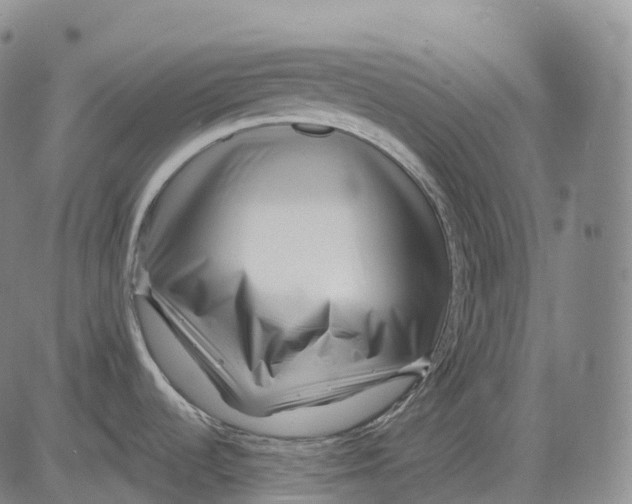 X0000081421536200702021615