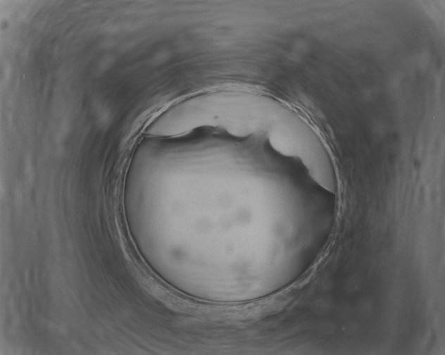 X0000081420001200702092145