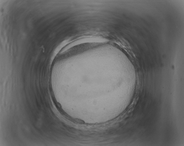 X0000081420003200702092145