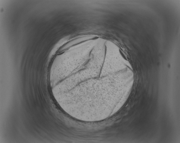 X0000081420006200702092145