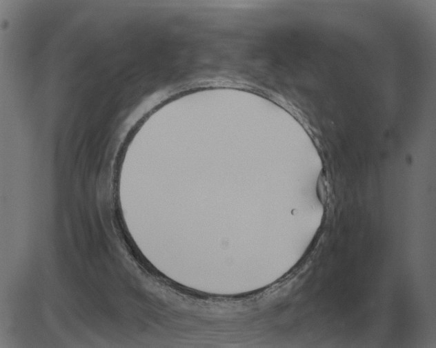 X0000081420008200702092145