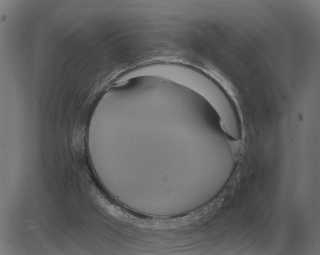 X0000081420009200702092145