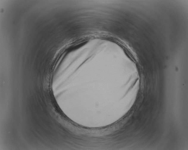 X0000081420010200702092145