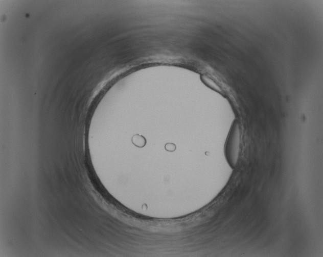 X0000081420011200702092145