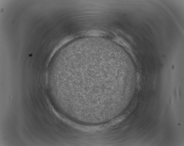 X0000081420012200702092145