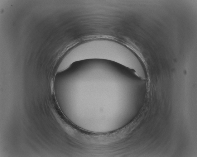 X0000081420013200702092145