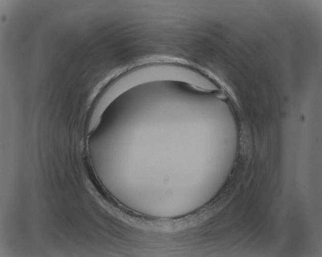 X0000081420015200702092145