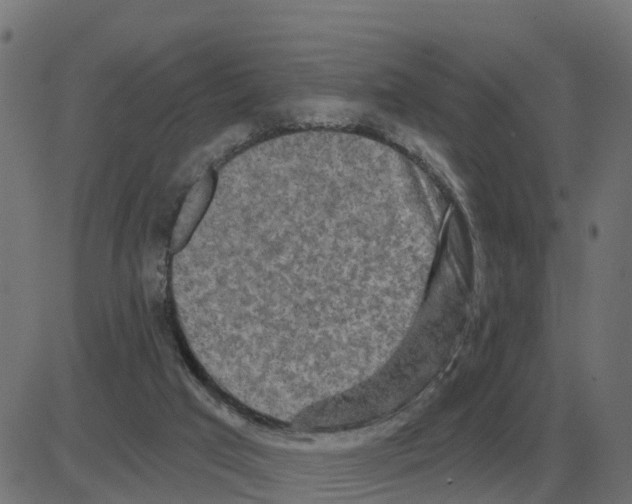 X0000081420017200702092145