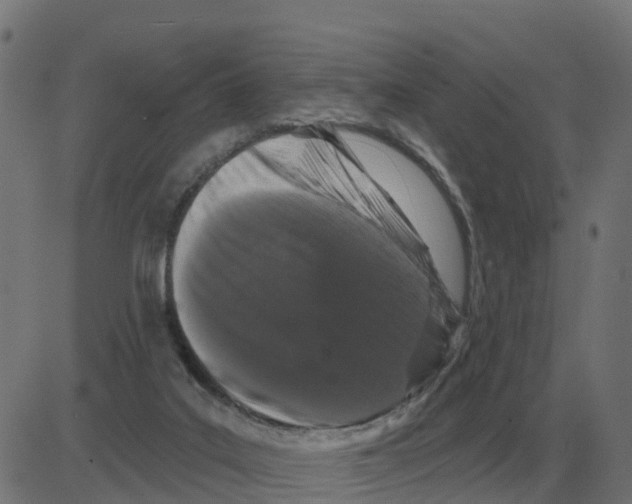 X0000081420019200702092145