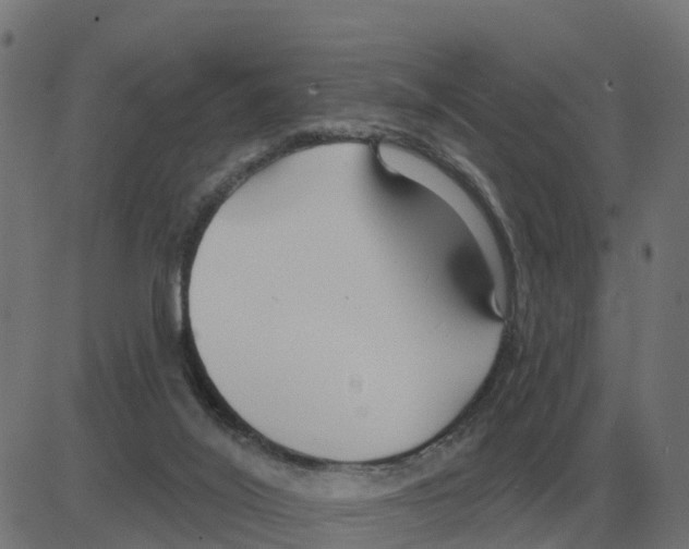 X0000081420020200702092145