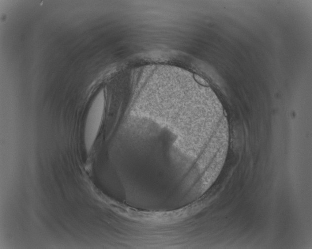 X0000081420023200702092145