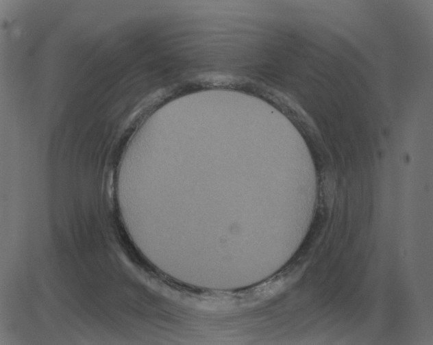 X0000081420024200702092145