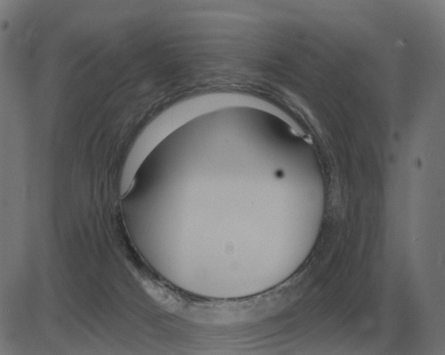 X0000081420025200702092145