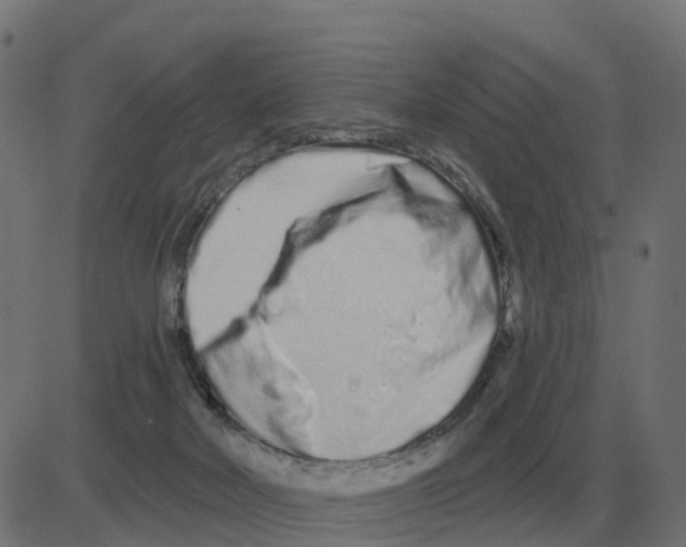 X0000081420026200702092145