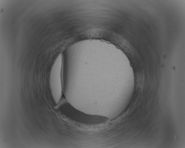 X0000081420029200702092145