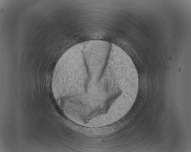 X0000081420030200702092145