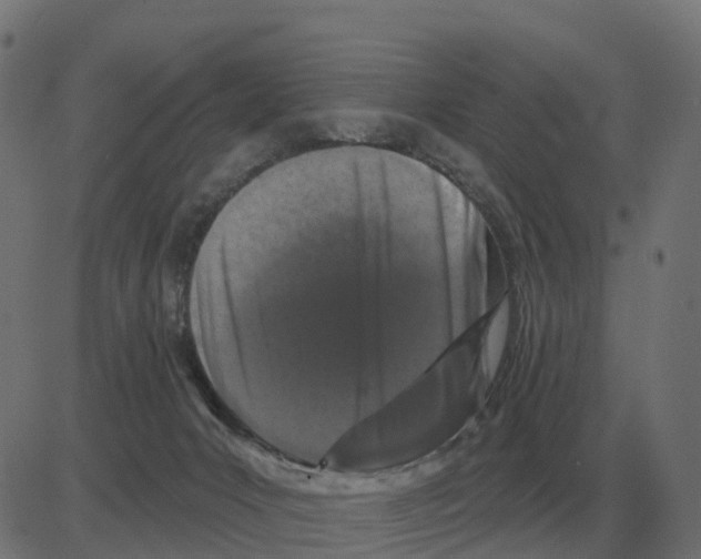 X0000081420031200702092145