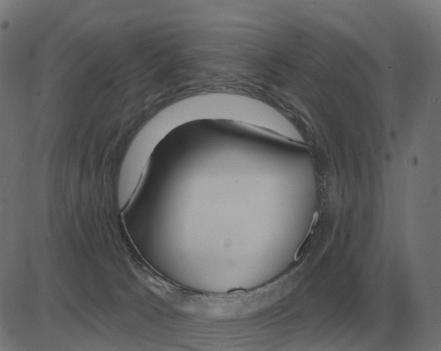 X0000081420033200702092145