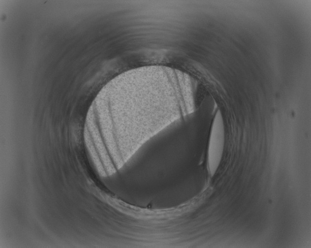 X0000081420035200702092145